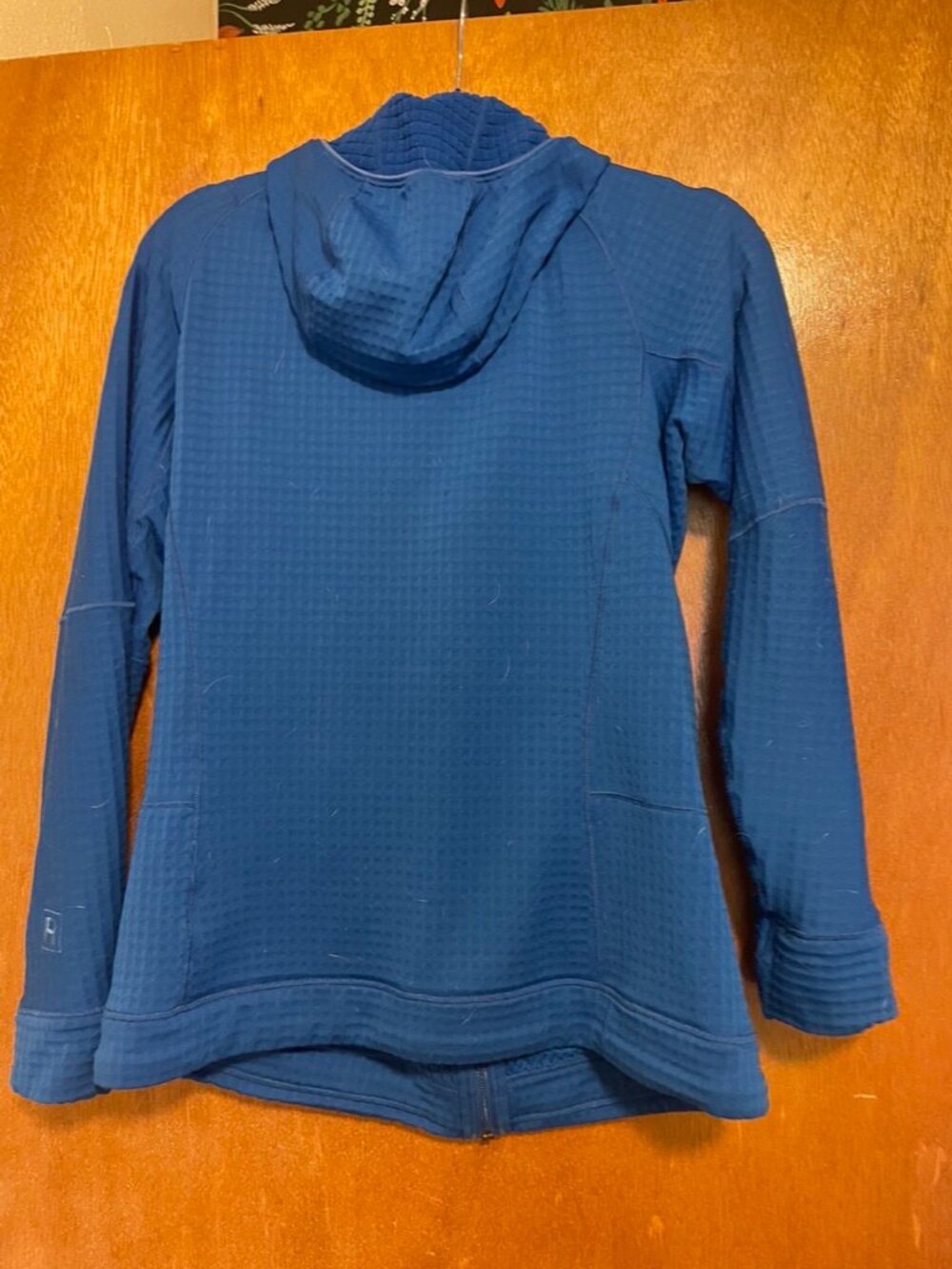 W's R1 Full-Zip Hoody - Picture 5 of 6